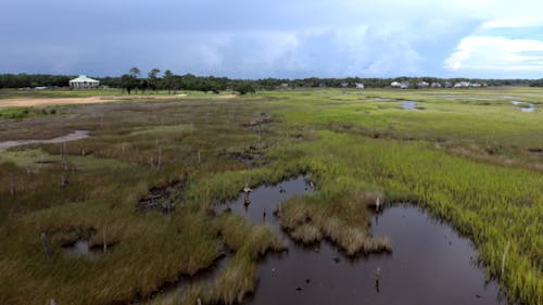 An Aerial Footage of a Wetland