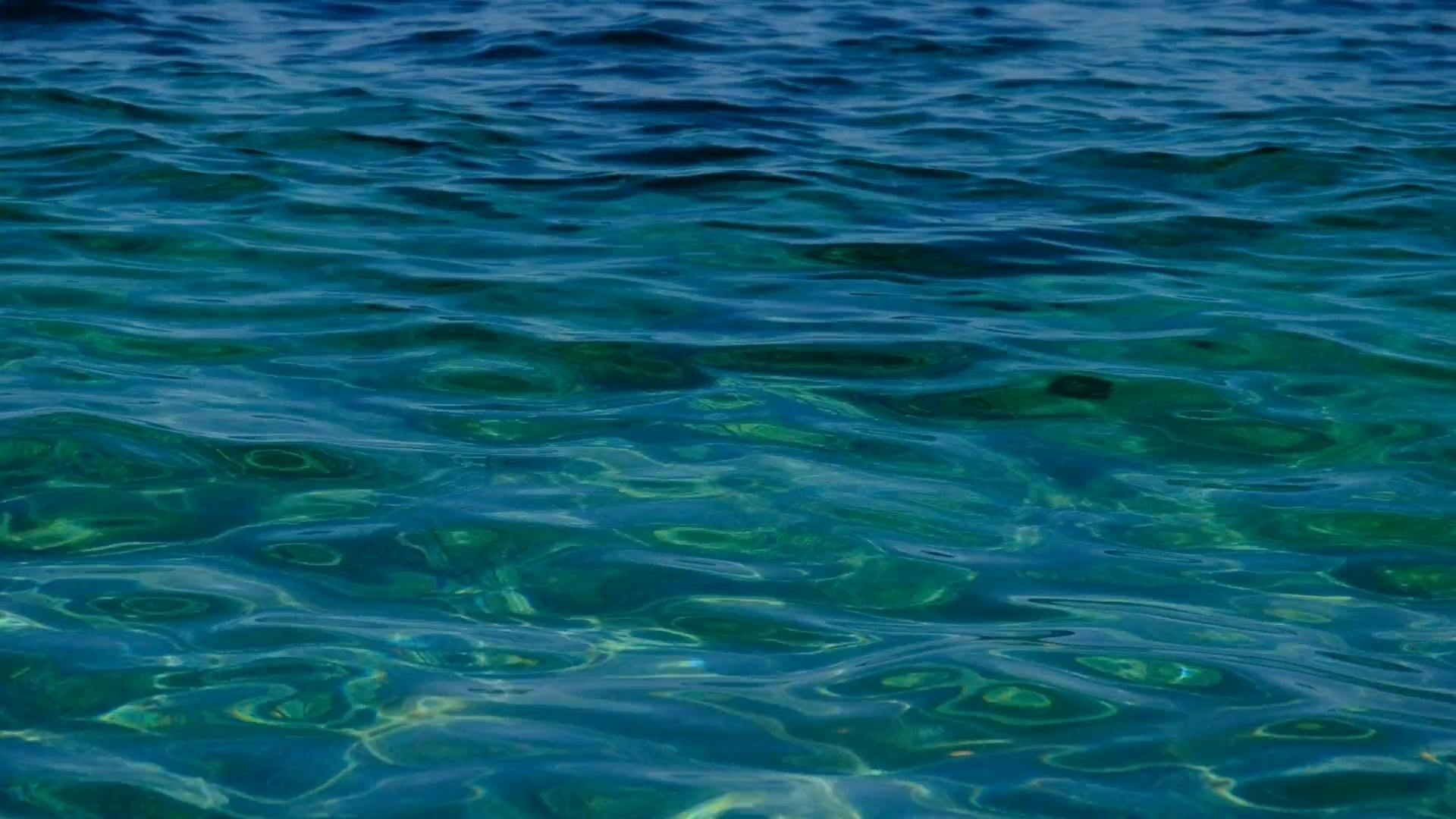 Video by Francesco Ungaro