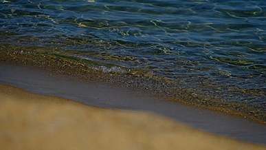 soft waves breaking in the seashore