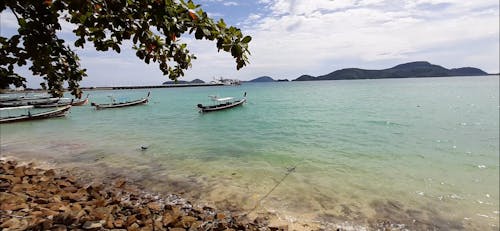 Docked Boats on the Shore