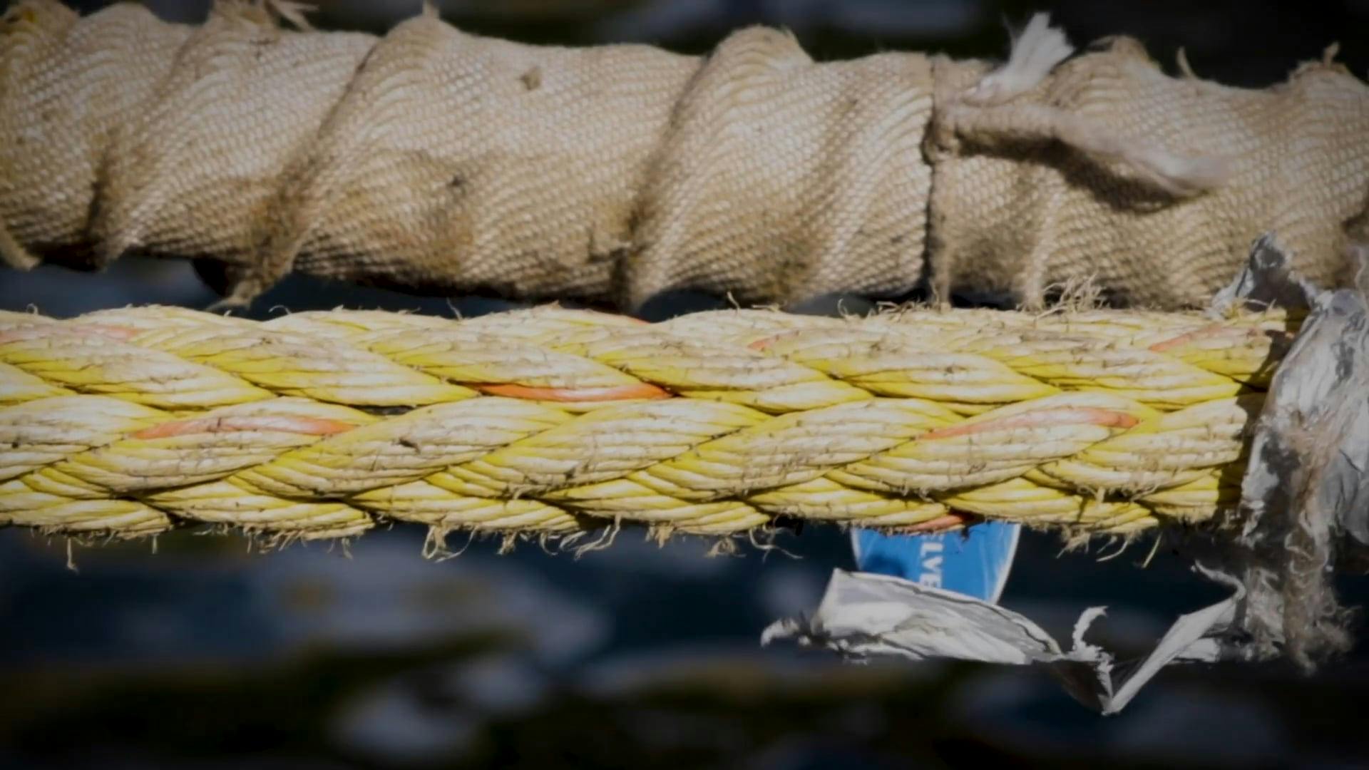 Close-up Footage Of A Stretched Rope Free Stock Video Footage, Royalty ...