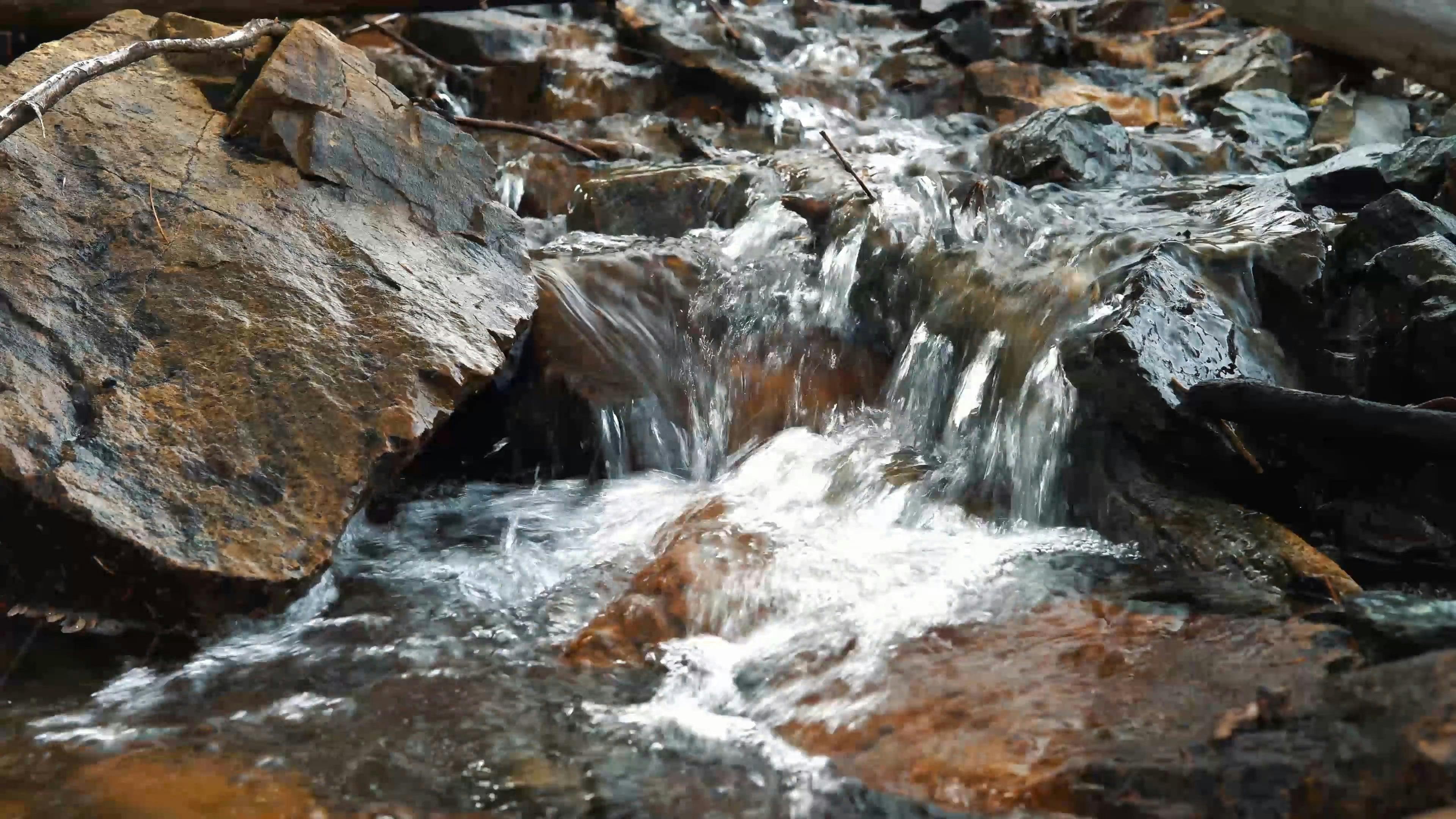 Close-up Video of a Flower River · Free Stock Video