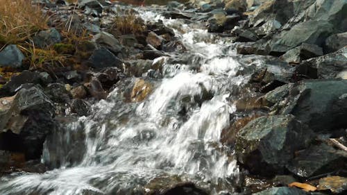 A Brook Flowing Through Bed Of Rocks