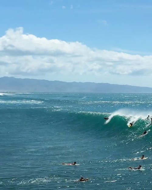 People Surfing on Big Waves