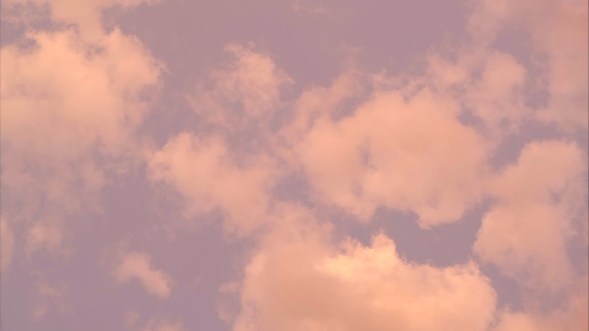 20,000+ Best Pink Sky Videos · 100 Free Download · Pexels Stock Videos