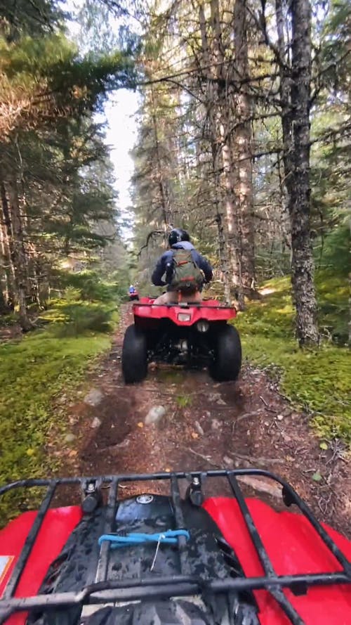 People Riding Quad Bikes in the Forest