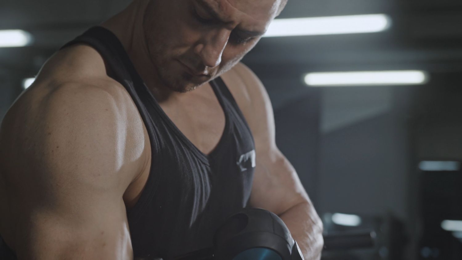 Muscle Building Videos, Download The BEST Free 4k Stock Video Footage ...