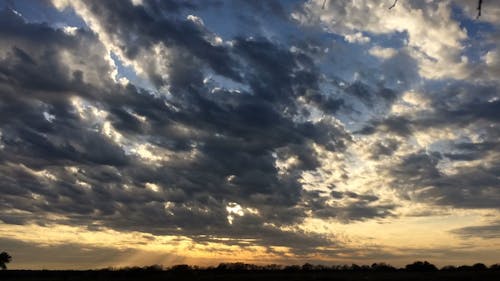 Low Angle Shot of a Sunset