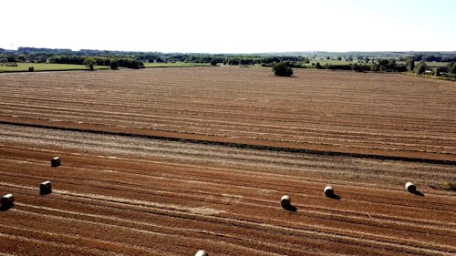 Drone Video Footage of Vast Agricultural Lands