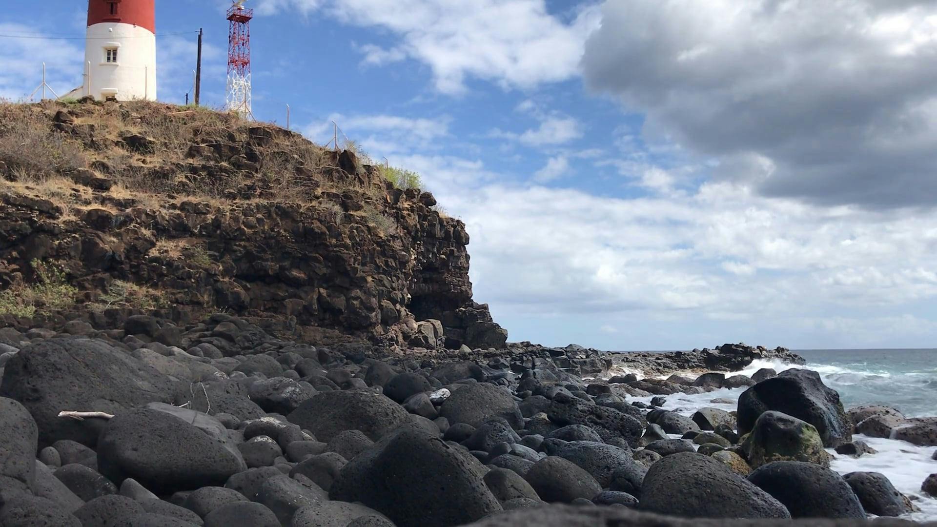 Ocean Breeze Free Stock Video Footage, RoyaltyFree 4K & HD Video Clip