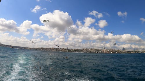 Aerial View of Vast Ocean