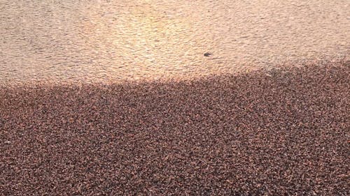 Panning Shot of Exotic Sea Beach