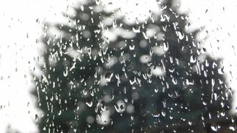 雨景视频素材