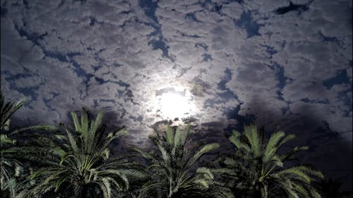 Bright Moon Among Moving Clouds 