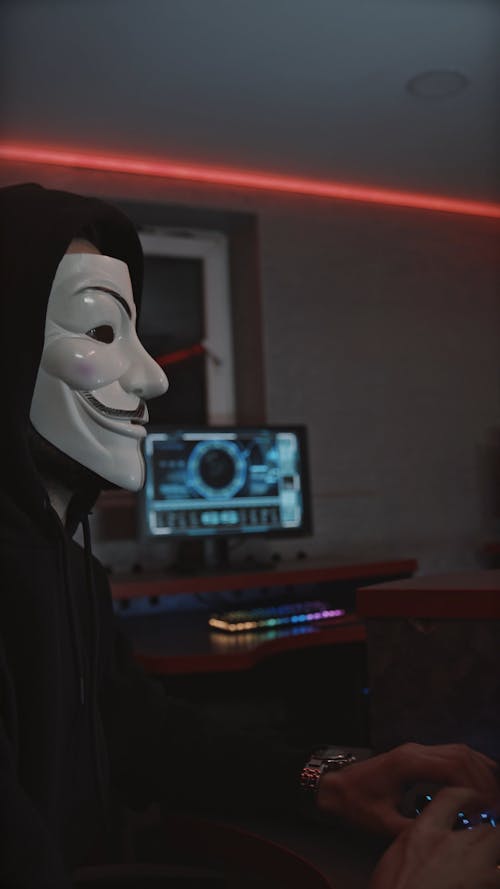 Person in Guy Fawkes Mask Using Computer
