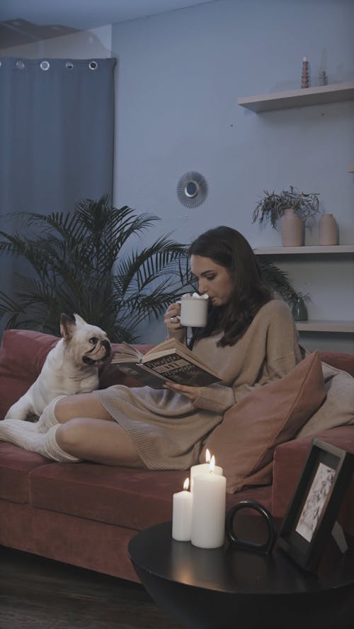 Woman Reading a Book on the Sofa