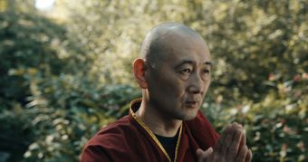 韬定律视频素材