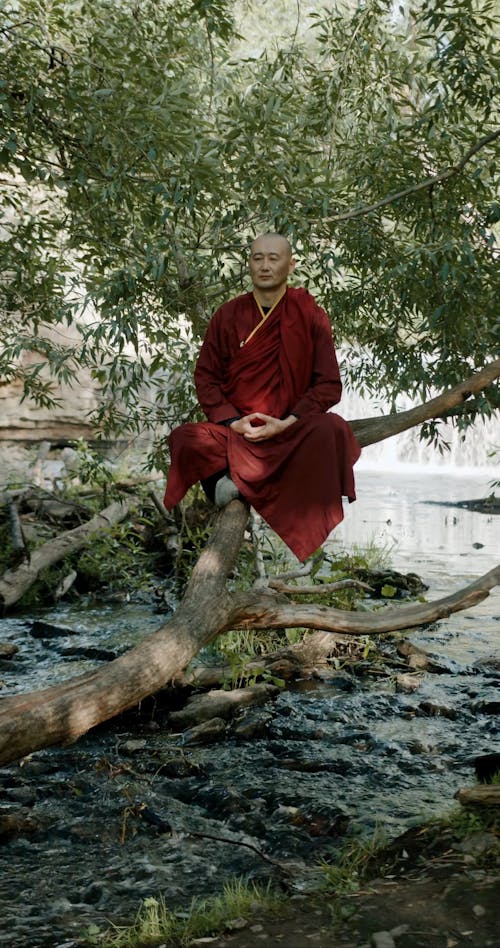 A Monk Meditating on a Tree