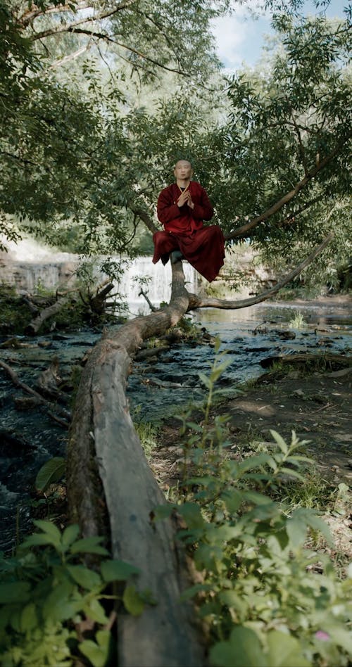 A Monk Meditating on a Tree
