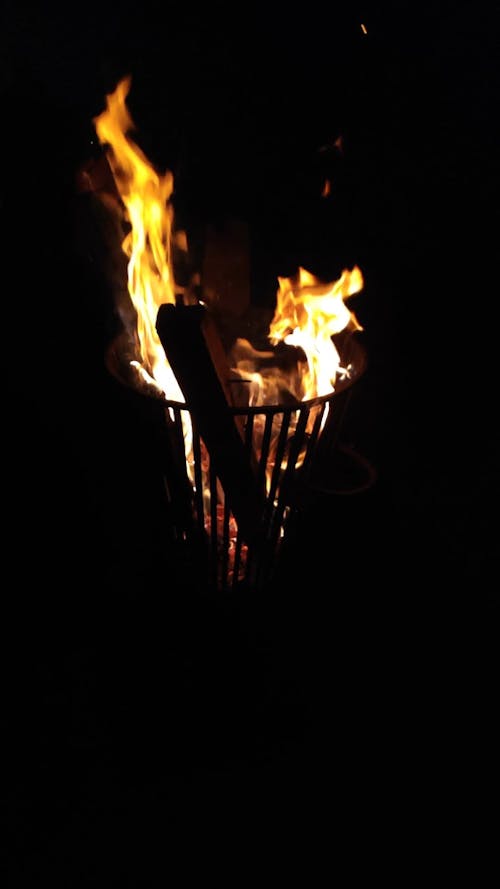 Close-Up Video of a Burning Firewood