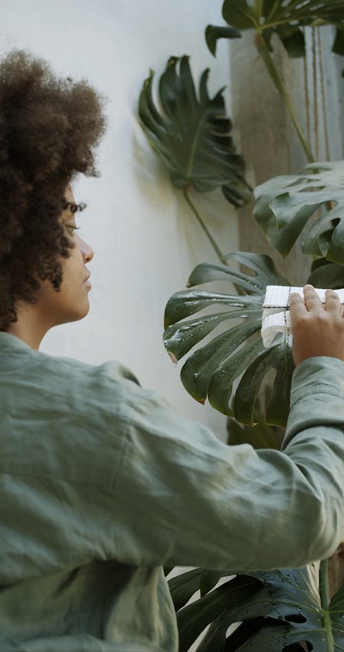 Young Woman Spraying Monstera Plant Leaves