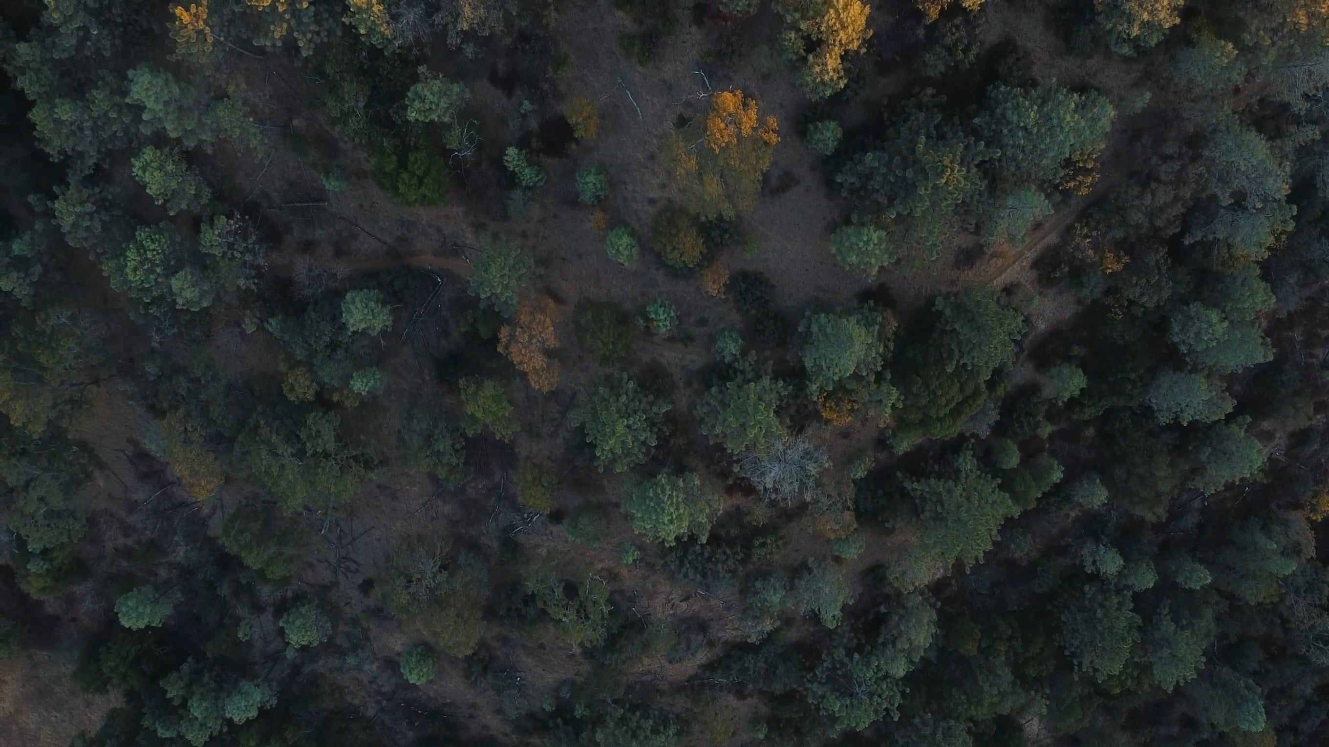 Nature Top View Videos, Download The BEST Free 4k Stock Video Footage ...