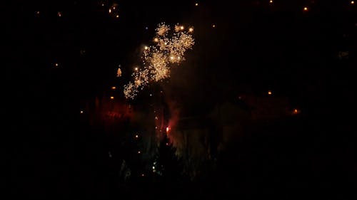 Fireworks Display at Night