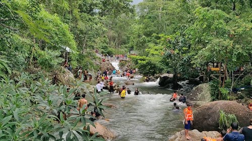 People Bathing in Rain Forest River