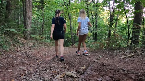 Two Girls Walking in the Woods