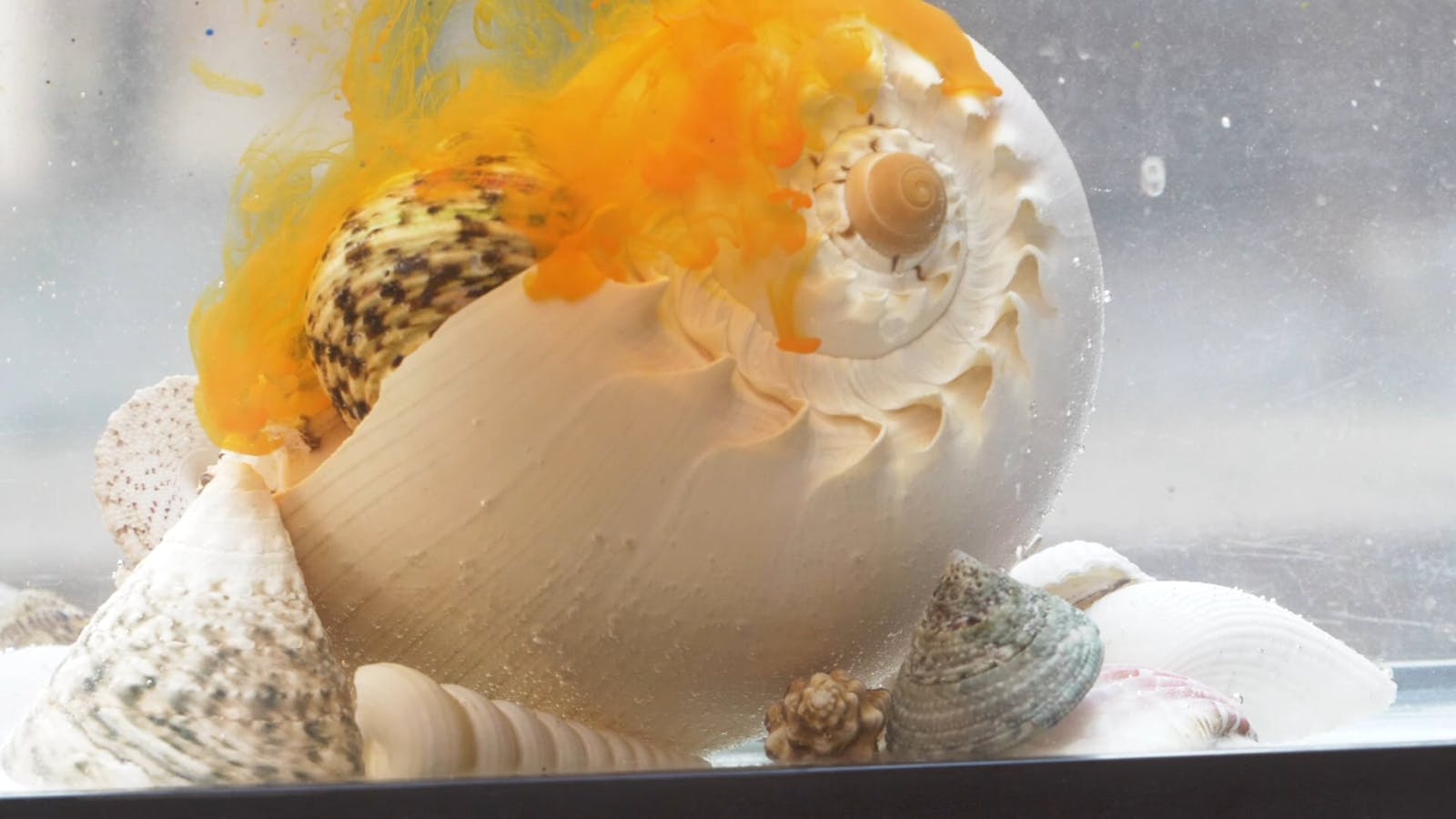 Color Mixing in Slow-Motion Free Stock Video Footage, Royalty-Free 4K ...