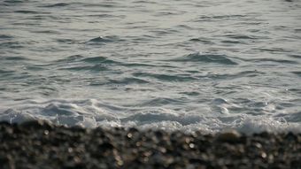 海边高清视频高清视频高清视频视频素材