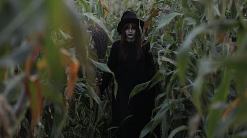 Witch Walking in a Corn Field