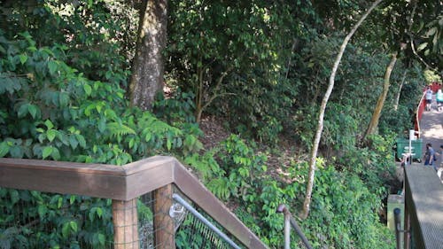 Panoramic View of Iguazu Falls