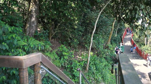 Panoramic View of Iguazu Falls