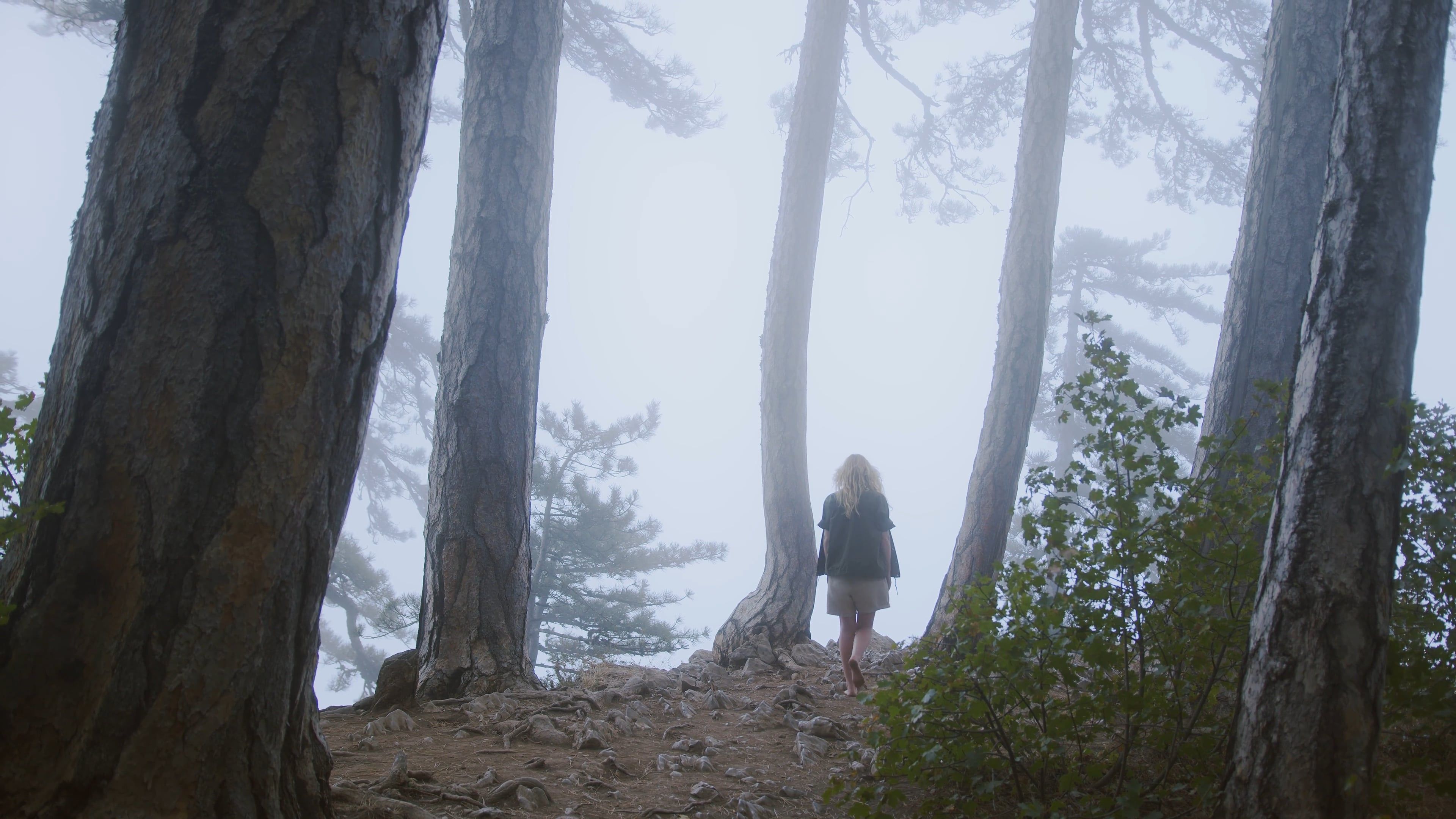 Back View of a Woman Walking Through Woods in Mountain · Free Stock Video