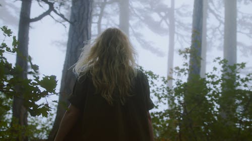 Low Angle Shot of a Woman Walking through Forest
