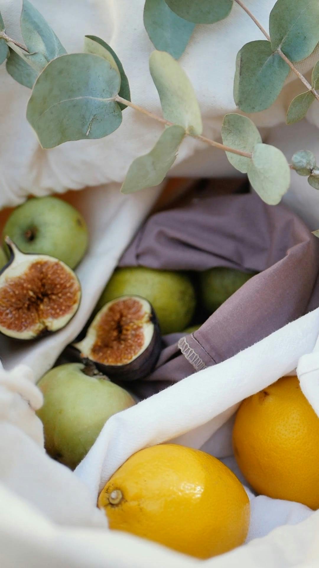 Figs And Twigs Videos, Download The BEST Free 4k Stock Video Footage