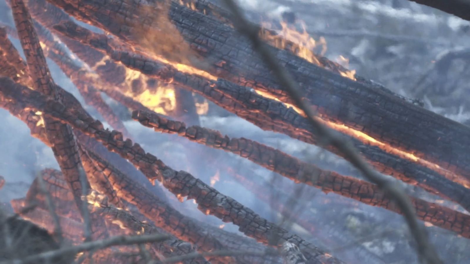 Climate Change Videos Download The Best Free 4k Stock Video Footage