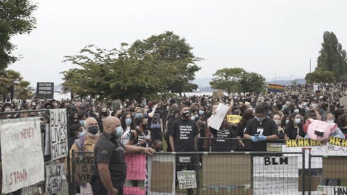 Crowd of People at a Black Lives Matter Rally