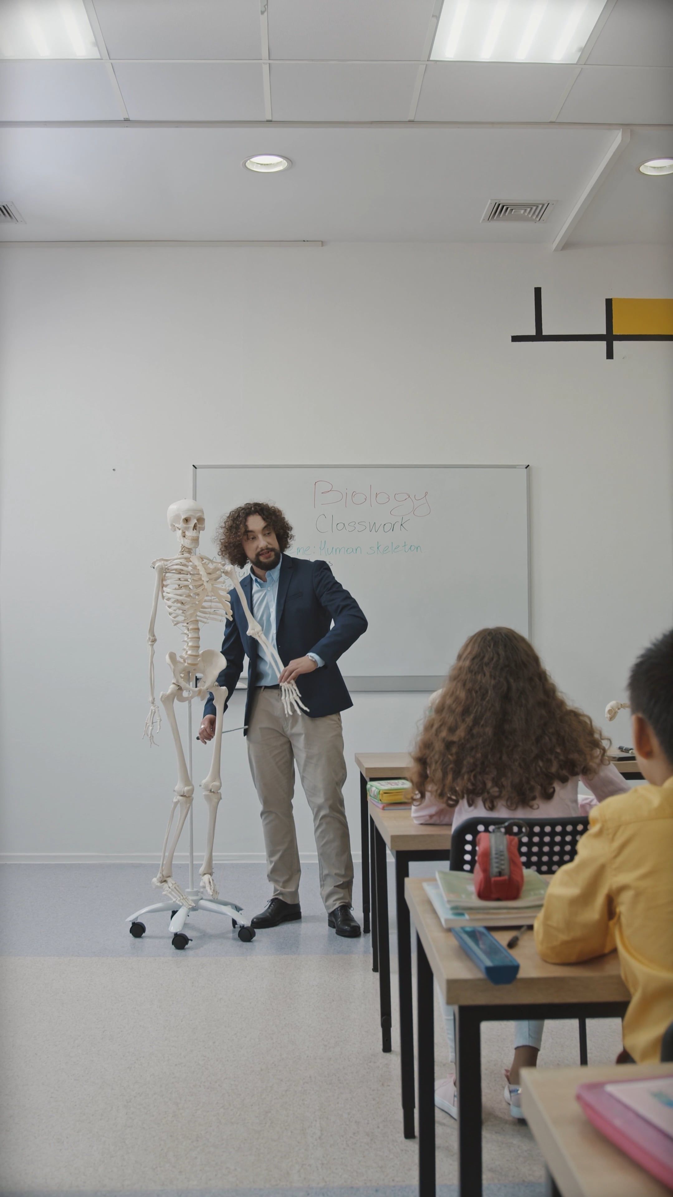 Teacher With Human Skeleton Model Free Stock Video teacher-with-human-skeleton-model-free-stock-video