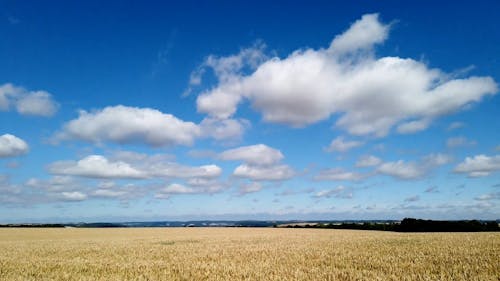 Time Lapse Video of the Sky