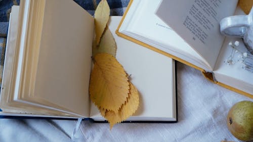 Flat Lay Arrangement of Coffee Book and Almonds