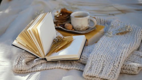 Dried Flowers and Leaves on an Open Book