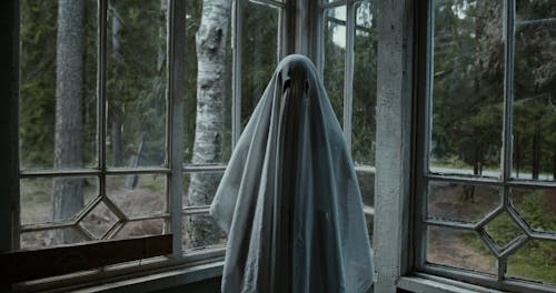 Ghost Videos, Download The BEST Free 4k Stock Video Footage & Ghost HD Video Clips Ghost Videos, Download The BEST Free 4k Stock Video Footage & Ghost HD Video Clips