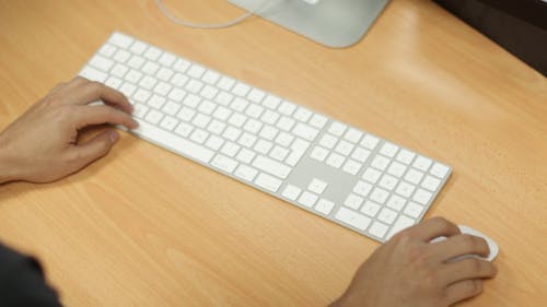 Person Using a Wireless Keyboard and Mouse