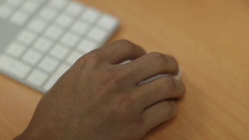 A Person Using Wireless Keyboard and Mouse