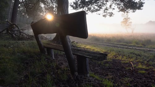 Foggy on the Outdoors