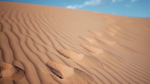 Desert Ripples