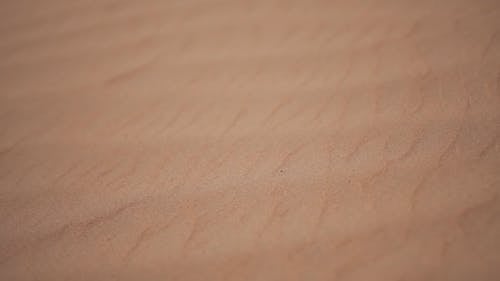 Person Stepping In the Sand