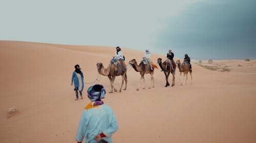 People Riding Camels while on the Desert